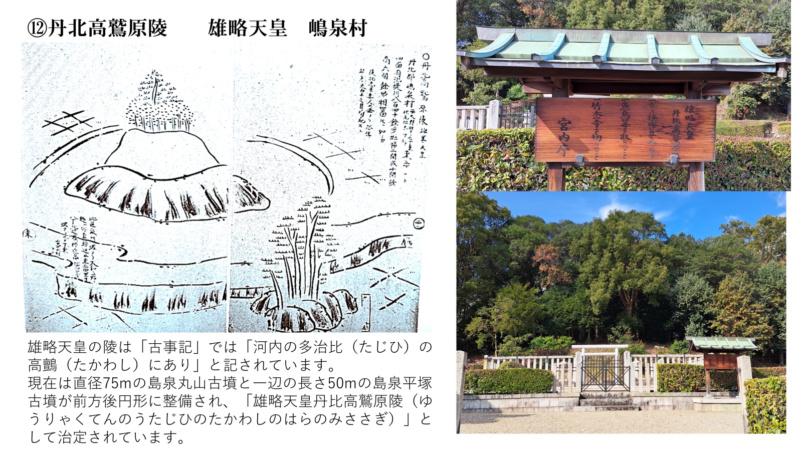 陵墓十七図」の御陵を訪ねる(3)古市古墳群ー2 | やおの人 陵墓十七図」の御陵を訪ねる(3)古市古墳群ー2 | やおの人